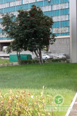 Администрация г.Новокузнецк