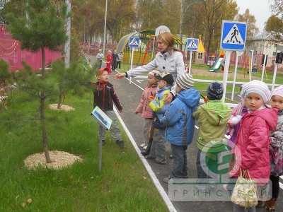 Дендрарий в детском саду