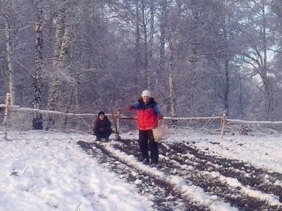 Зимний посев семян.