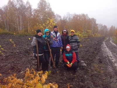 Осенняя посадка в дождь.