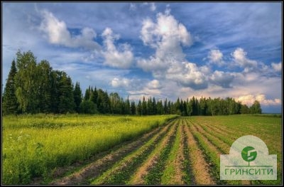 Рекультивация земли.